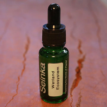 Wetland Bottle_edited.jpg