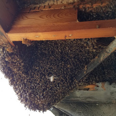 20170503_105713.jpeg