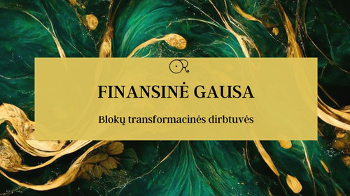 Finansinės gausos blokai