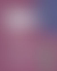 Casting de Voz Original para a Caolha Animation