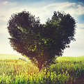 AdobeStock_404301815.jpeg