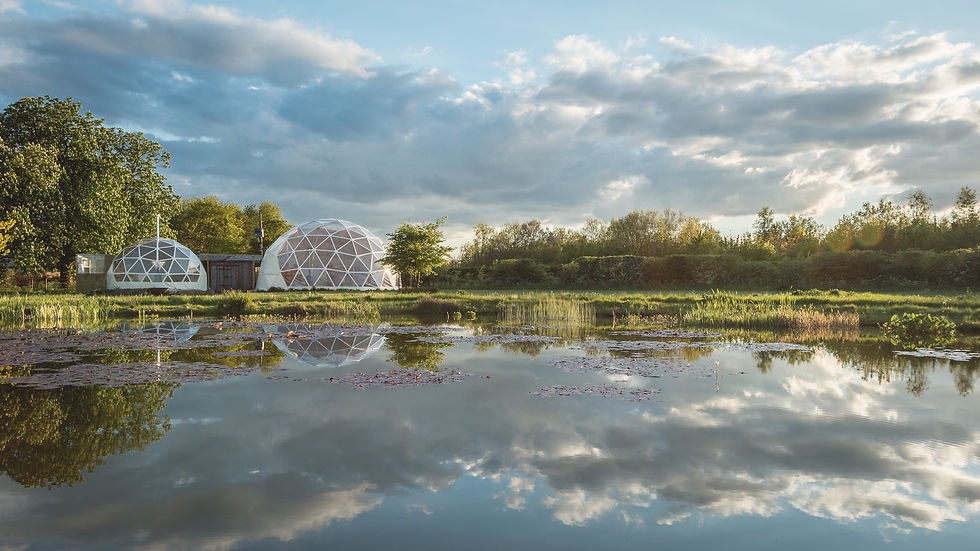 Wide angle view of lush countryside for relaxation and meditation
