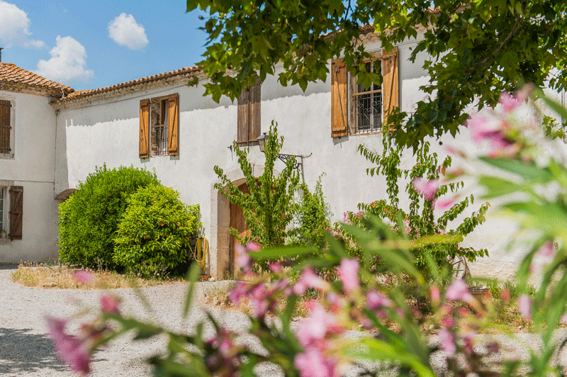 Accommodation near Millepetit