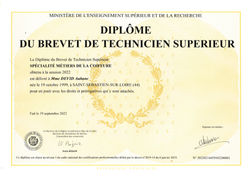 Brevet de Technicien Supérieur DEVID