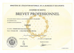 Brevet Professionnel DEVID