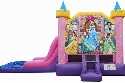 disney-princess-ez-combo-wet-or-dry-nowm-0_edited_edited.jpg