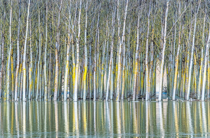 reflets impossibles-001