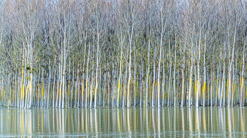 reflets impossibles-003