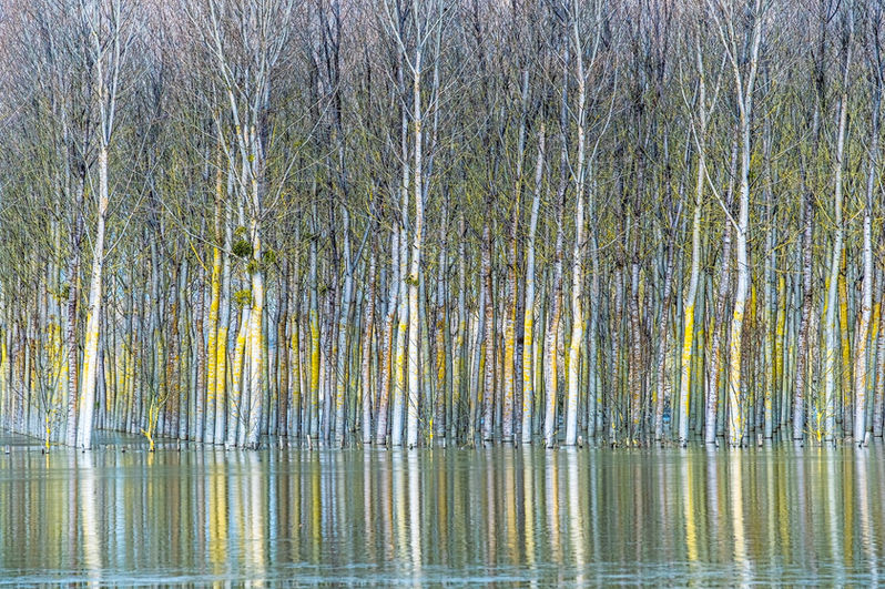 reflets impossibles-002