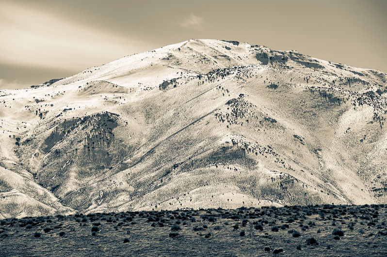 Neiges Tardives-004