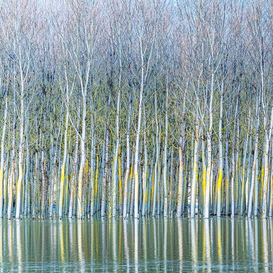 reflets impossibles-004