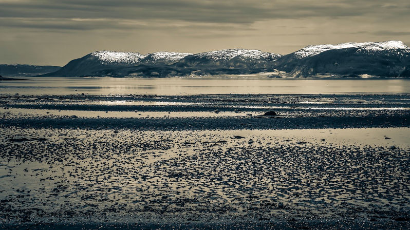 Neiges Tardives-005