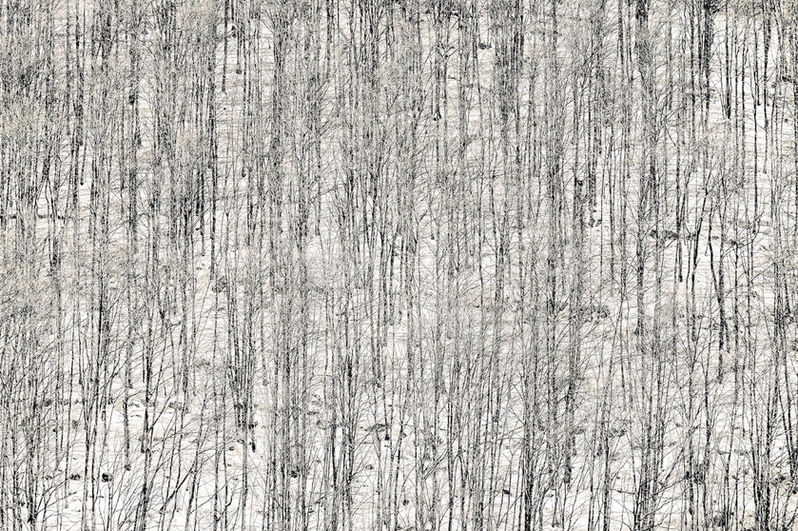 Neiges Tardives-014