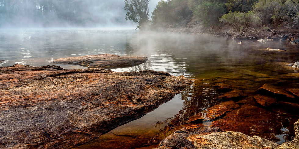Lane Poole Reserve - Misty Morning