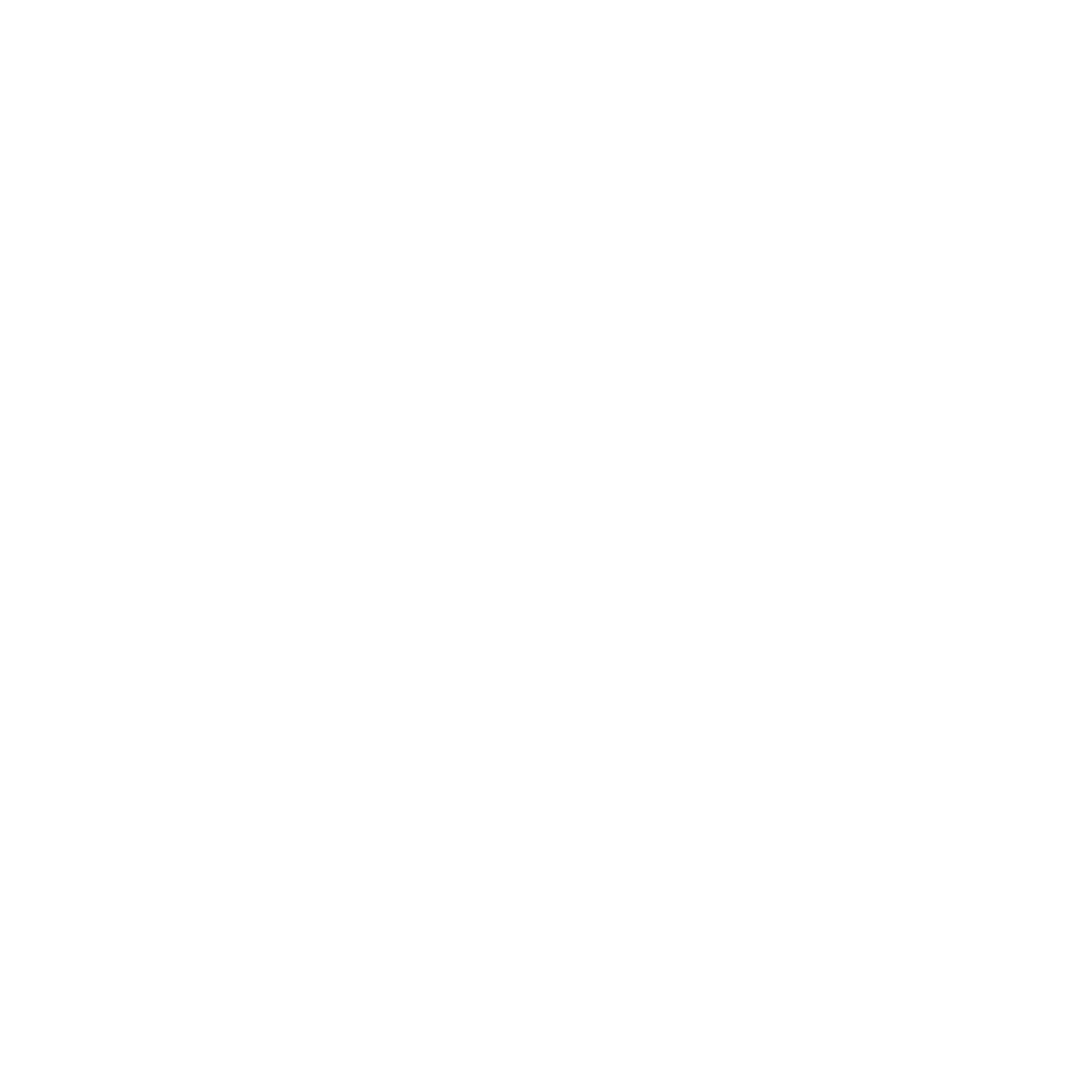 logo-toulouse-olympique-1937-blanc.png