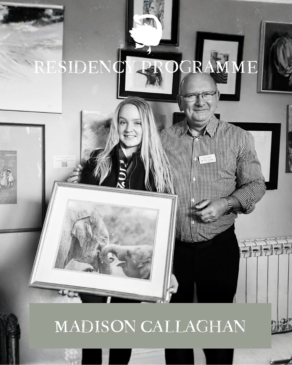 Wild - Private View
