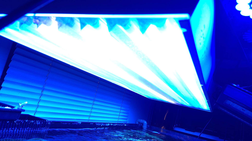 Miniatura: Luminária t5 pacífic Sun althea 8 x 54w