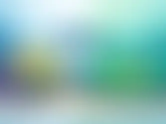 Anêmona Bubble Tip ou Carpet: qual escolher?