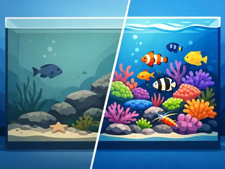 Antes e depois aquário marinho de verdade