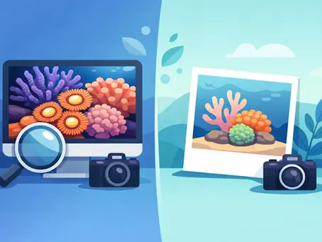 Coral WYSIWYG ou foto padrão: qual compensa?