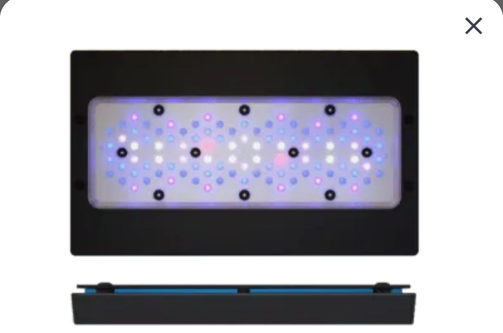 Miniatura: Luminária ecotech radion xr30 g6 pro