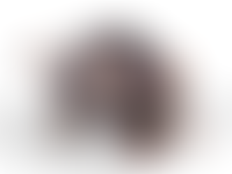 A curious house mouse peers forward. Excluding rodents from your structure is essential for maintaining a healthy pest-free environment.