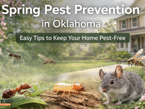 Spring Pests in Oklahoma