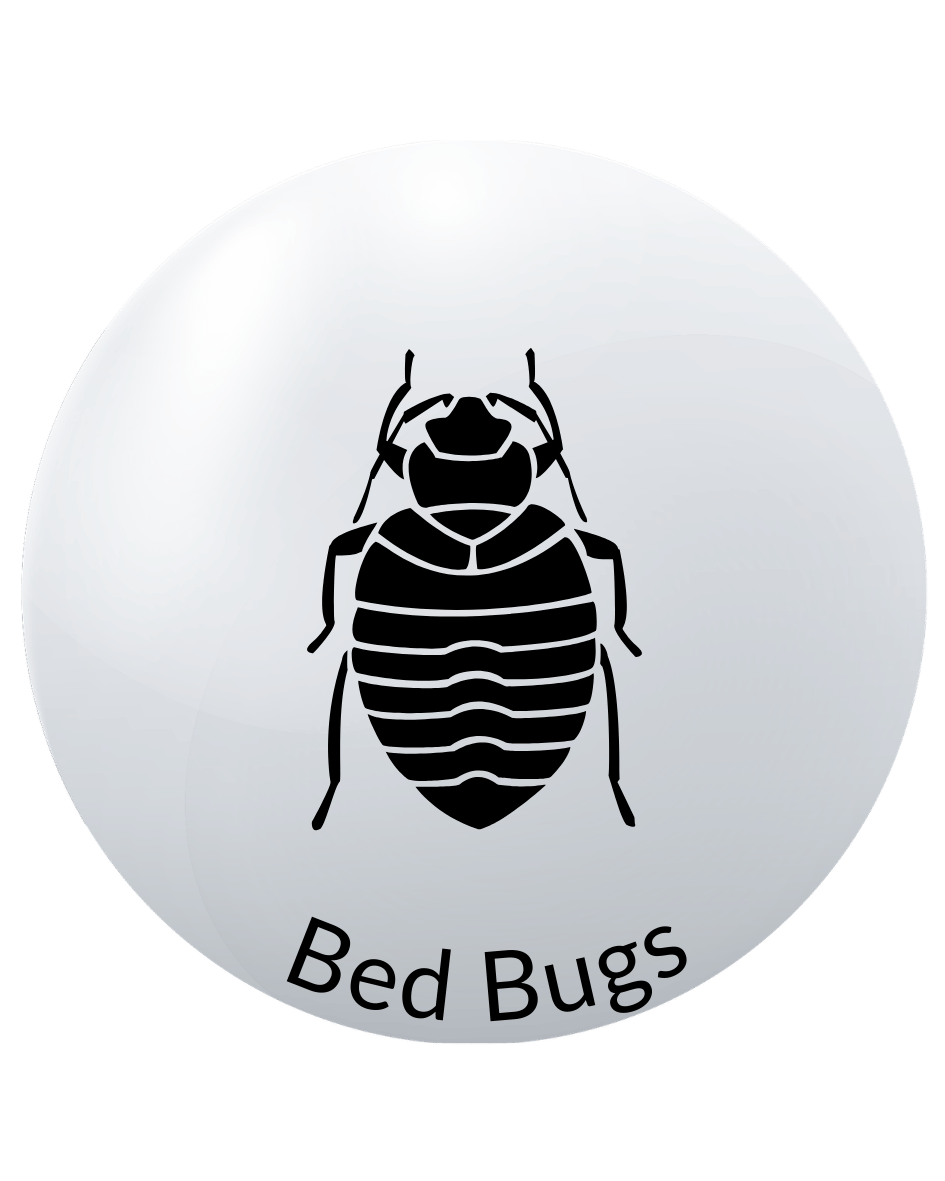 Bed Bug Control.png