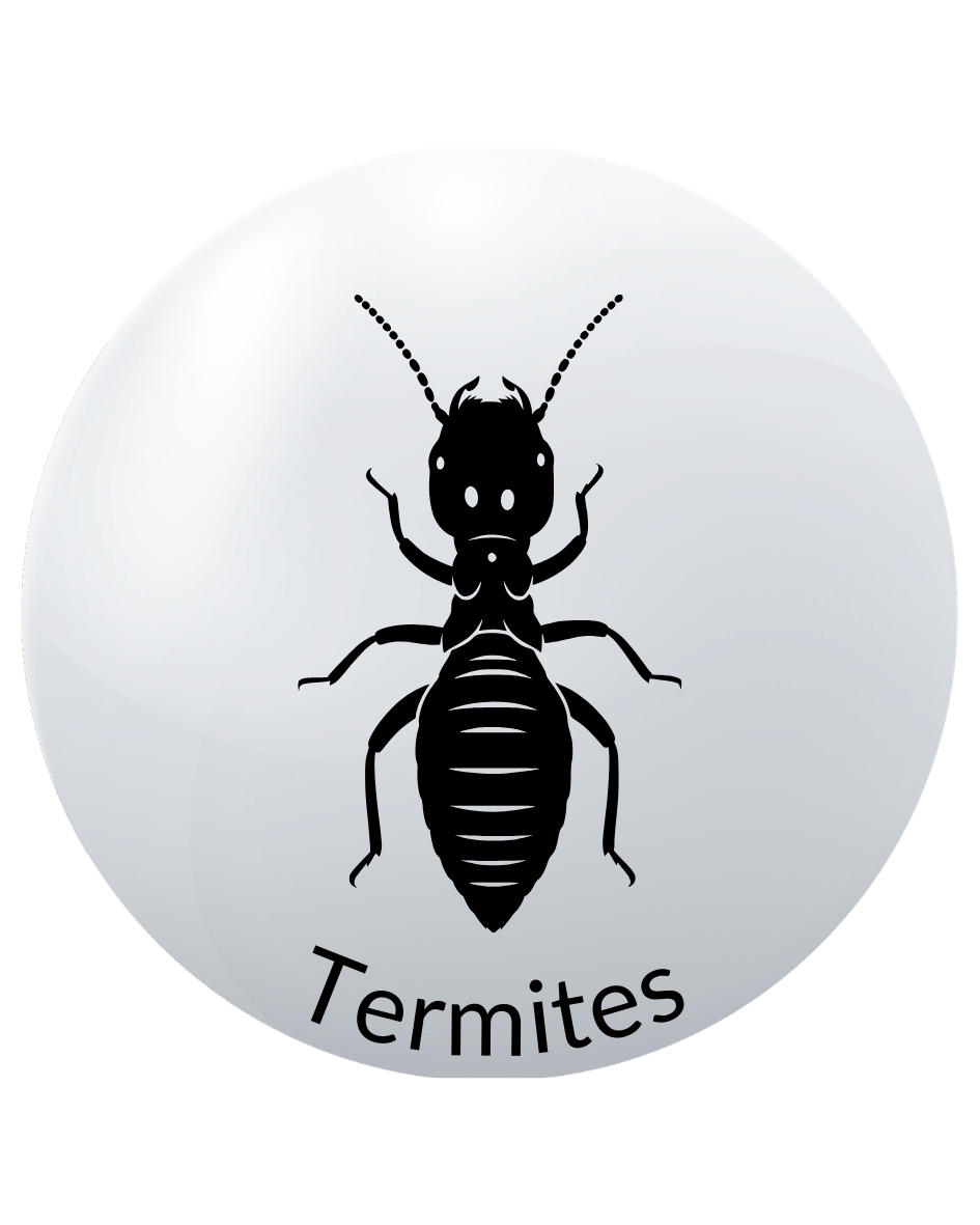 Termite Control