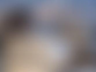 How to Keep Rodents Out of Your Home This Winter