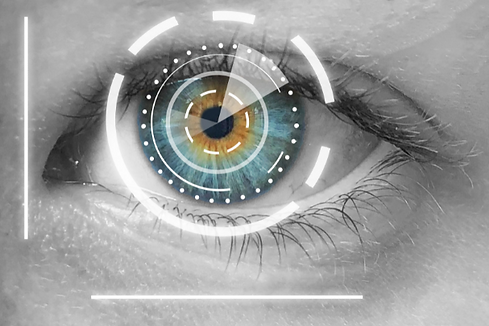 Vision (5).png