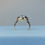 Thumbnail: 10k Gold Quartz Ring