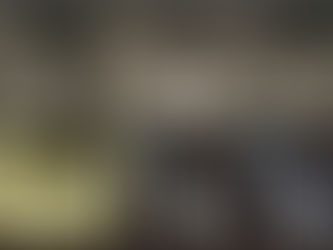 The use of a biocompatible cement in endodontic surgery. A randomized clinical trial1