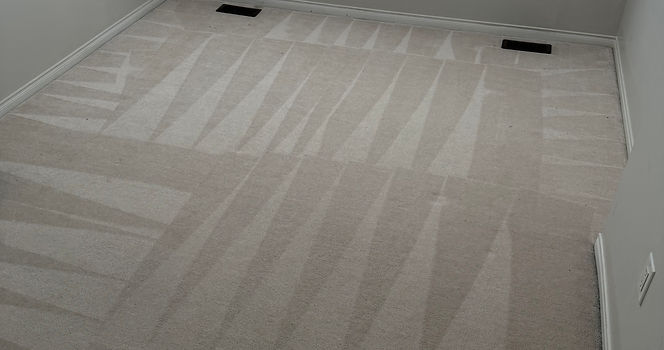 Carpet Cleaning Newmarket