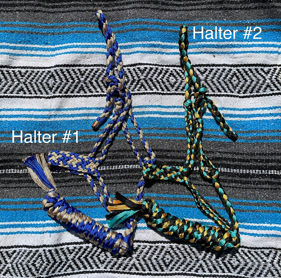 Mule Tape Halter - #63