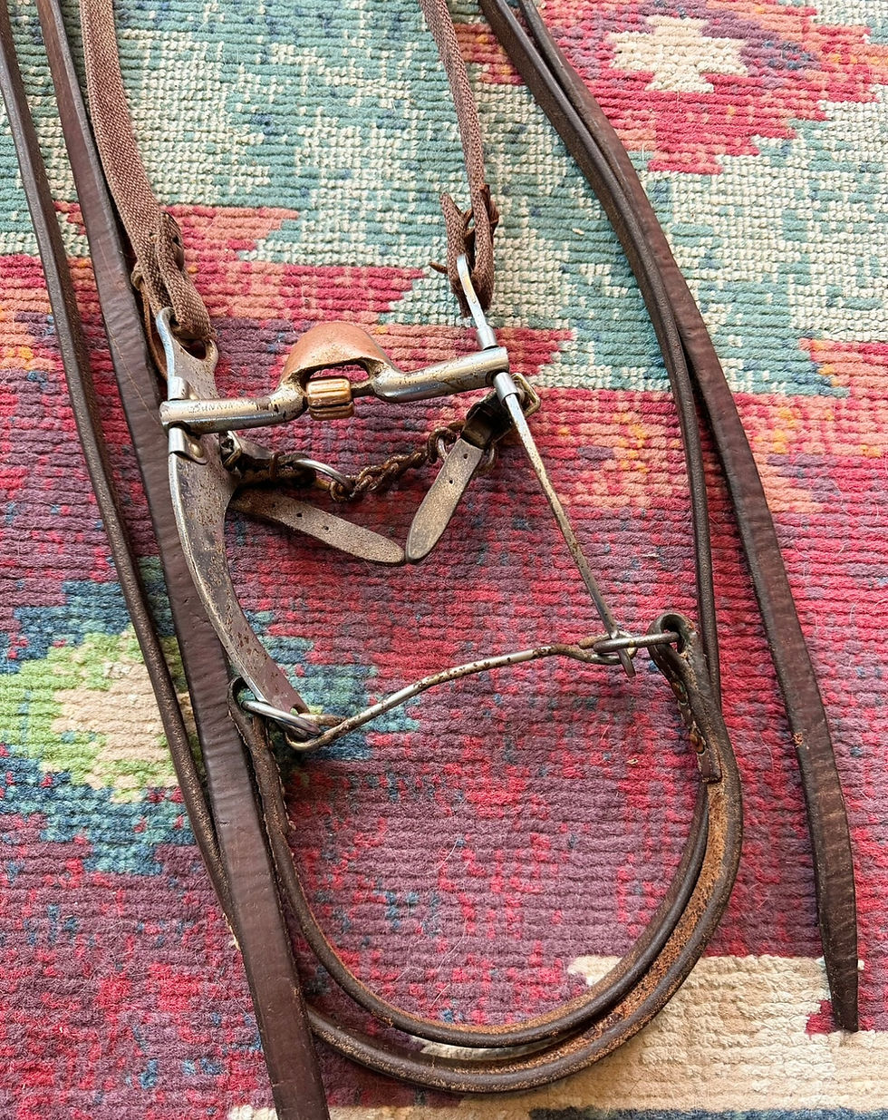 Thumbnail: Used Bridle Setup
