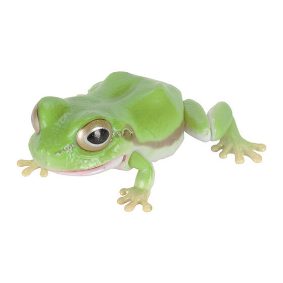 Thumbnail: Ikimono Enclyclopedia Bandai Gashapon Capsule Toy Australia reptile tree frog figure poster collectable green