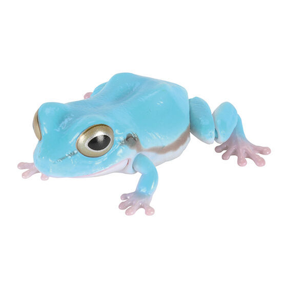 Thumbnail: Ikimono Enclyclopedia Bandai Gashapon Capsule Toy Australia reptile tree frog figure poster collectable blue
