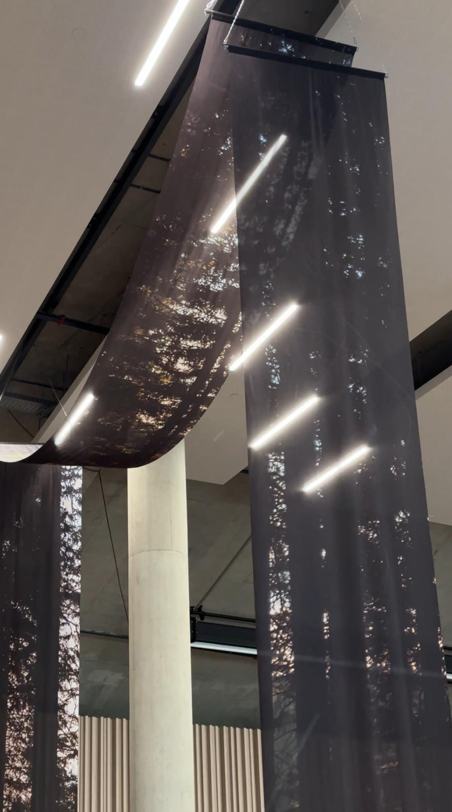 Draperijas noma