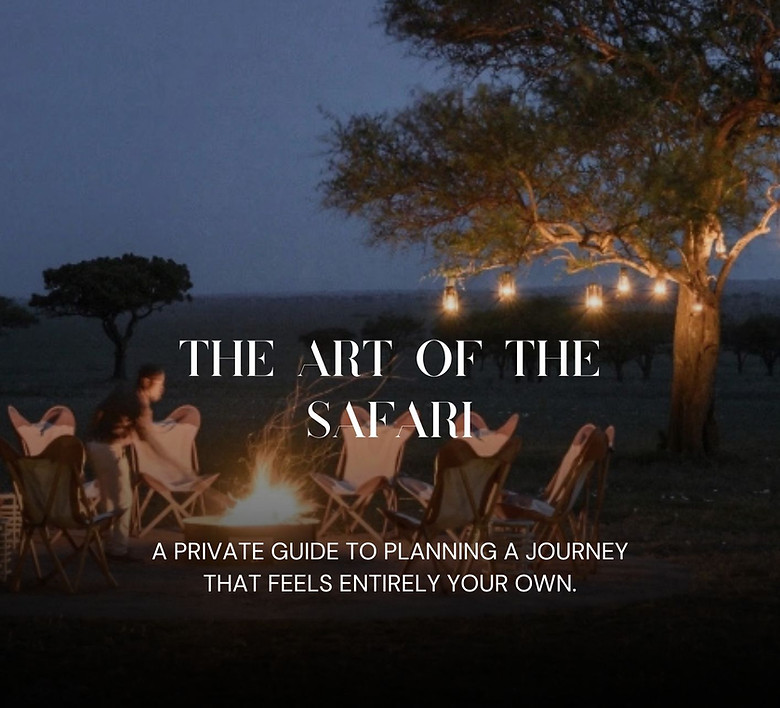 Page for the Art of the Safari.jpg