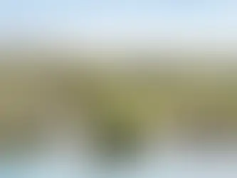 Tailor Your Luxury Adventure with Exclusive Private Safaris in Tanzania