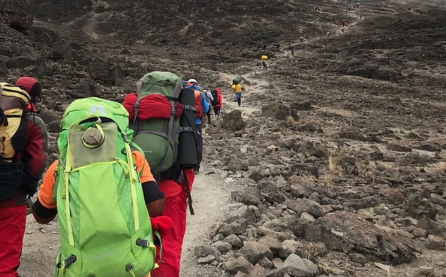 Guests walking on Mount Kilimanjaro in Tanzania, experiencing a guided and personalized trek with Shrike Safaris.