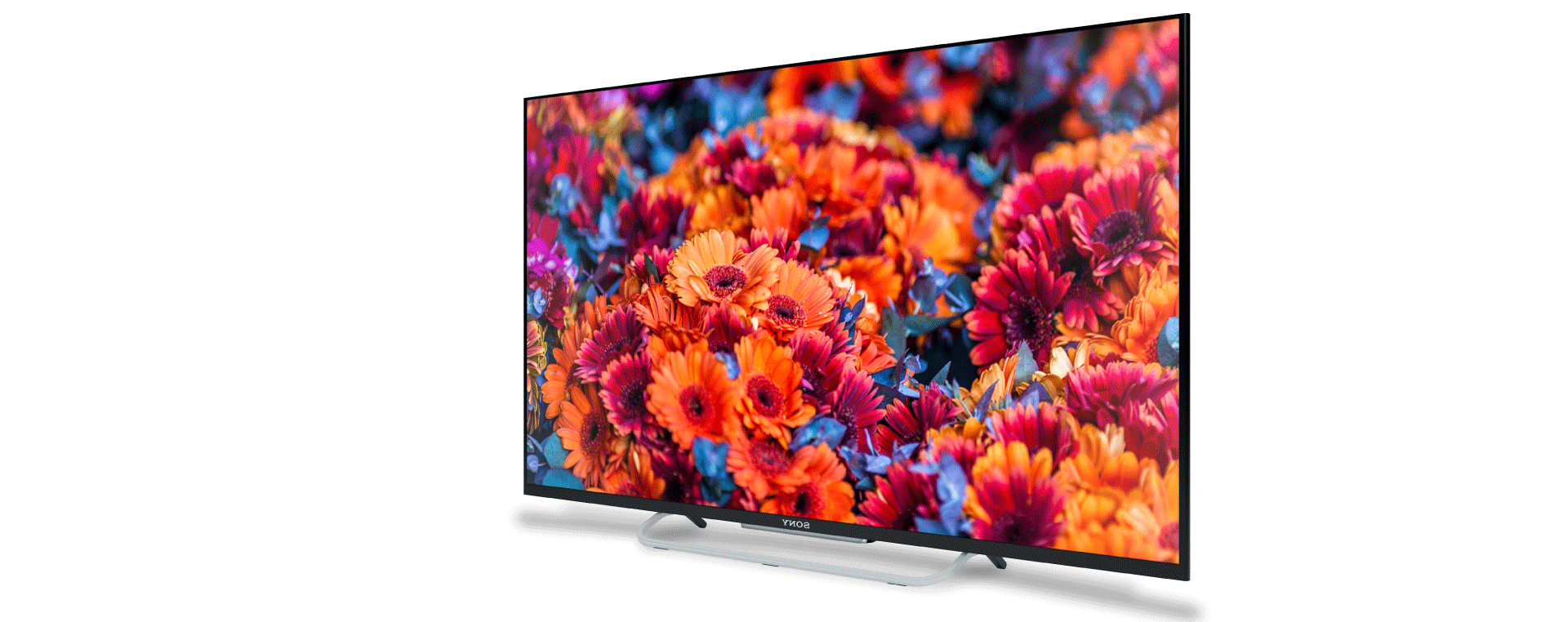 tvtv.gif