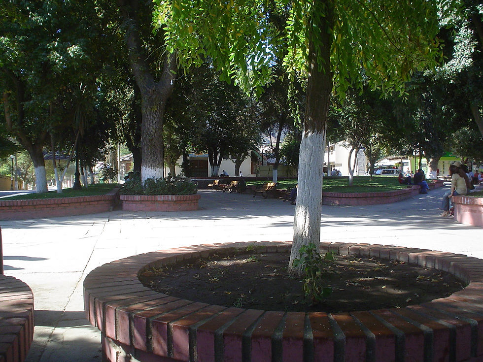 Plaza de Olmué