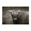 Thumbnail: 'Rhona' Scottish Highlander Cow - limited edition of 50 # 01-010