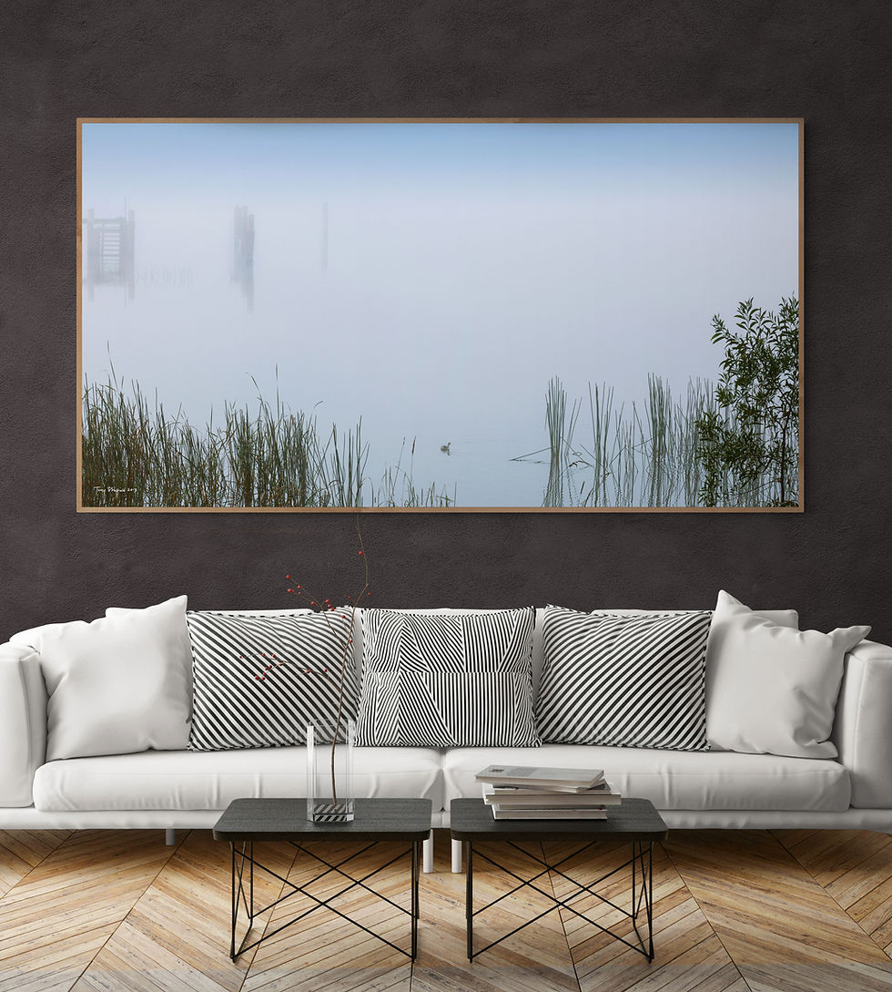 Thumbnail: Lake in mist at Glenquarry, NSW #10-003