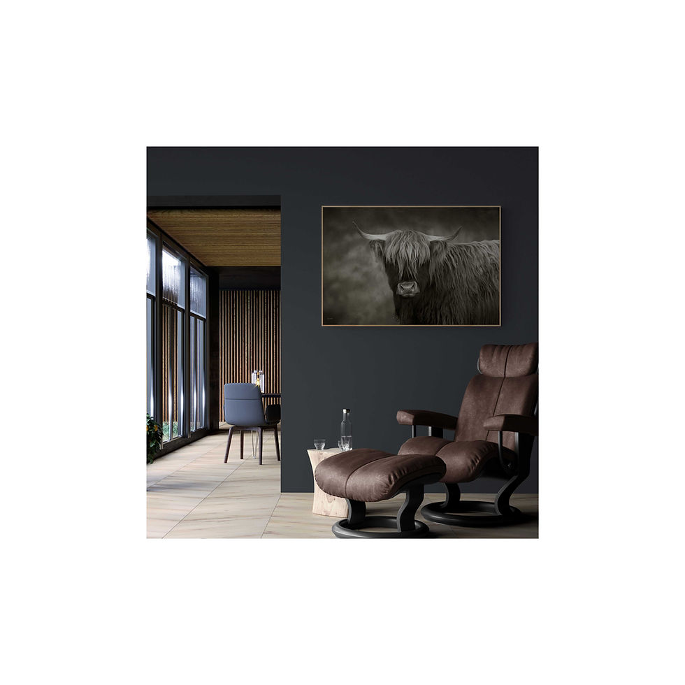 Thumbnail: 'Rhona' Scottish Highland Cow B & W (on Old Master) #05-008