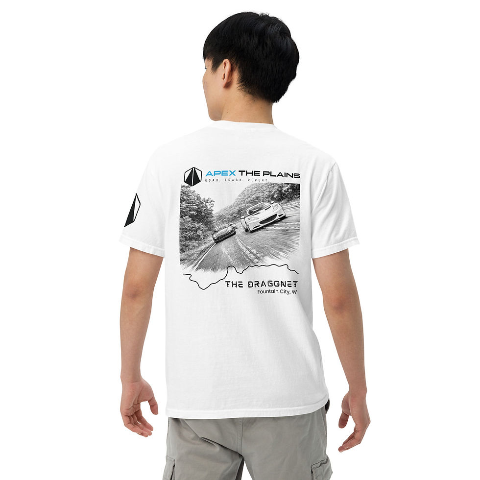 Thumbnail: Heavyweight Dragonet T-shirt