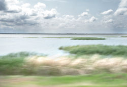 Cheyenne Bottoms