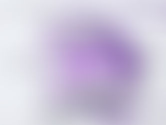 השאלה שתכשיל חברות בביקורות ה-FDA הקרובות